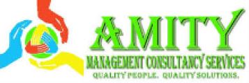 AMITY MANAGEMENT CONSULTANCY SERVICES